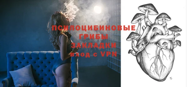 сатива Михайловка