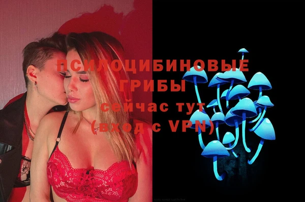 соль ск Алексеевка