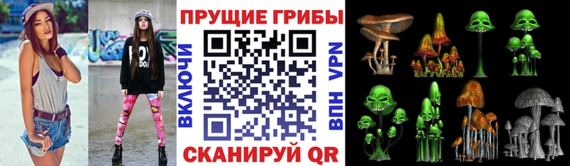 Псилоцибиновые грибы прущие грибы  Арск 
